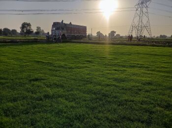 Professional organic lawn grass installation by Delhi’s top grass supplier