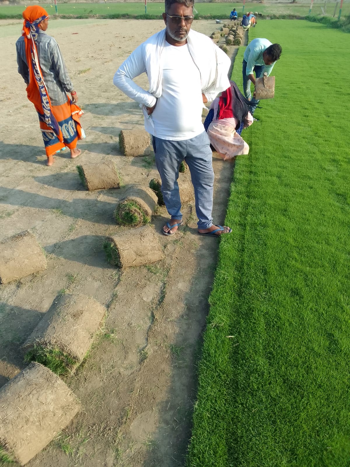 Balaji Nursery for Natural Lawn Grass in India